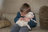 ENFANT ET CHIEN 470